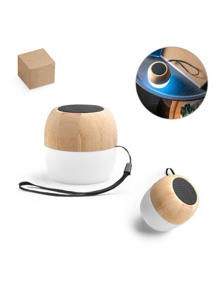 KALAM. Portable speaker with microphone