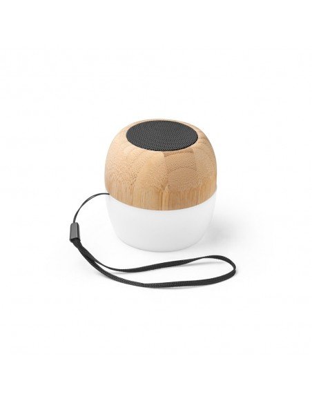 KALAM. Portable speaker with microphone