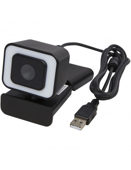 Hybrid webcam