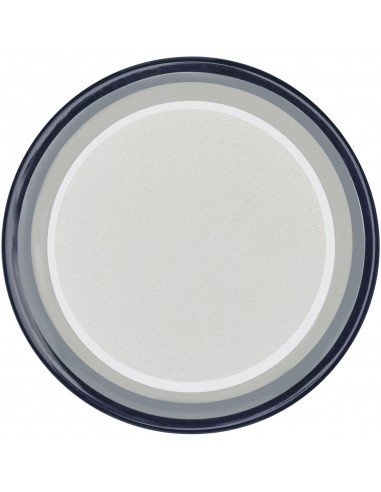 Hybrid ambiance speaker