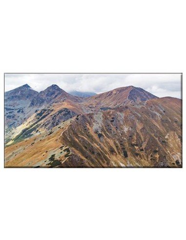 šaldytuvo magnetukai