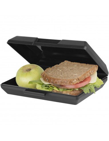 Oblong lunch box