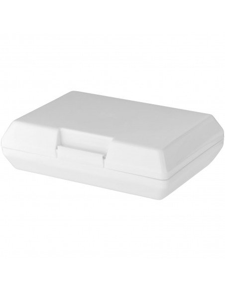 Oblong lunch box