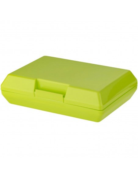 Oblong lunch box