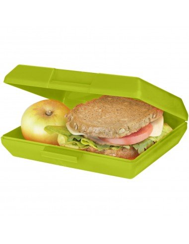 Oblong lunch box