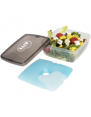 Glace lunch box with ice pad
