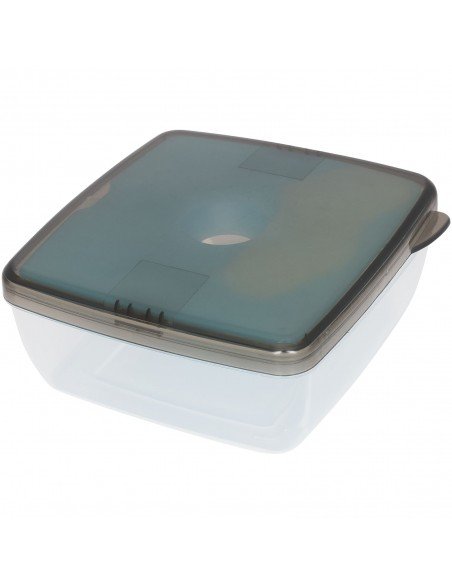 Glace lunch box with ice pad