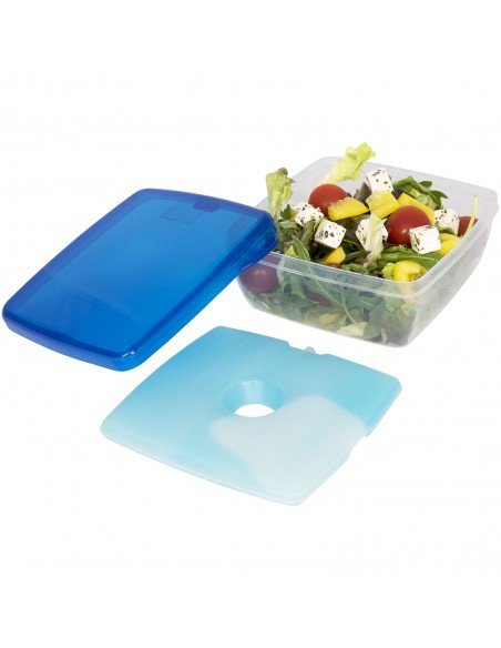 Glace lunch box with ice pad