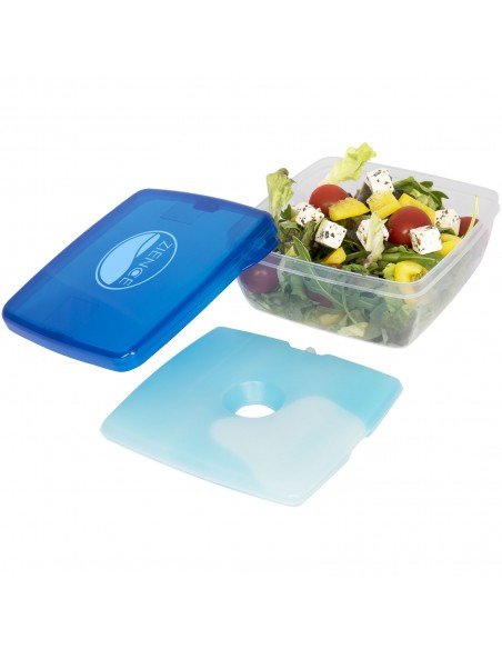 Glace lunch box with ice pad