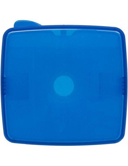 Glace lunch box with ice pad