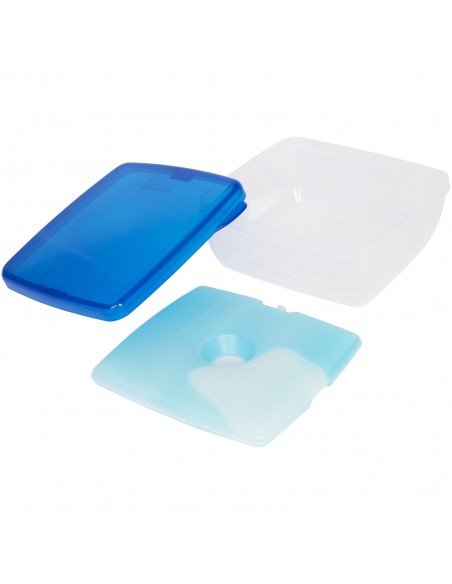 Glace lunch box with ice pad