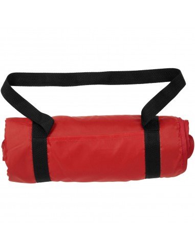 Roler picnic plaid with carrying strap