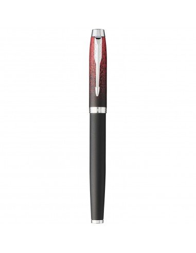 Parker IM special edition fountain pen