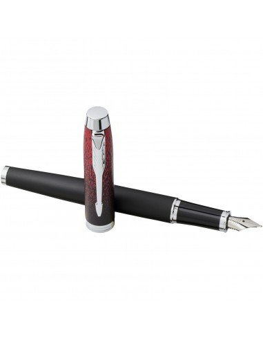 Parker IM special edition fountain pen