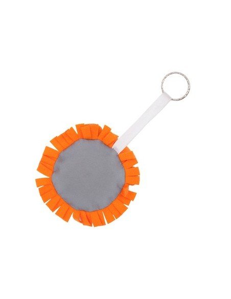 Atšvaitas liūtukas