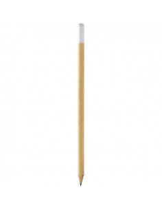 Pieštukas su spalvotu galu 2