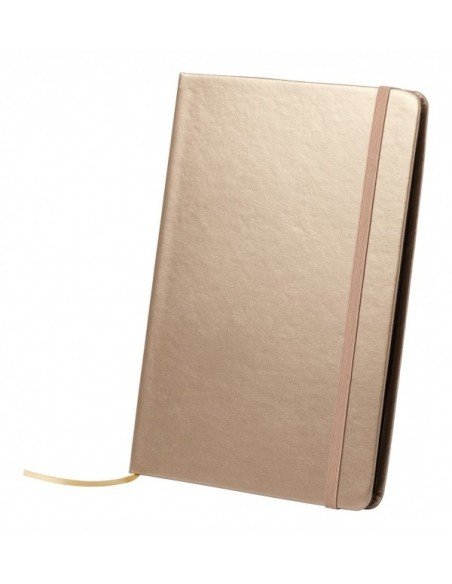 Metalo spalvos A5 formato bloknotas