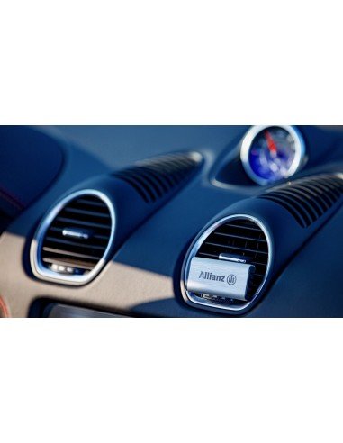 Automobilio oro gaivikliai