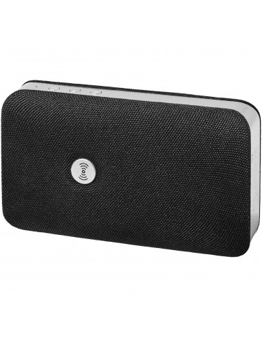 power portable speaker