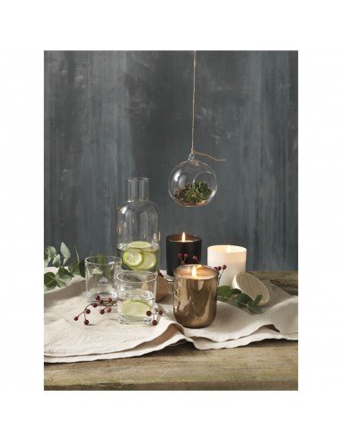Lane carafe and glass set