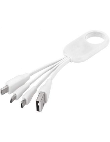 Troup 4-in-1 charging cable with type-C tip