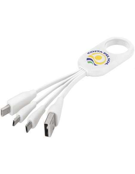 Troup 4-in-1 charging cable with type-C tip