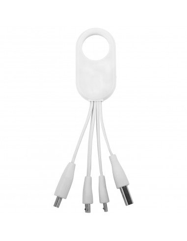 Troup 4-in-1 charging cable with type-C tip