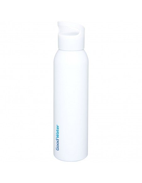 Sky 650 ml sport bottle
