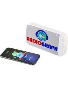 Wells waterproof outdoor Bluetooth speaker 2