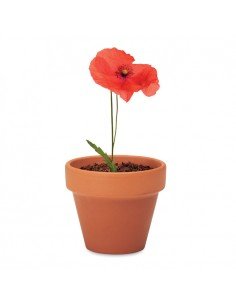 RED POPPY 2
