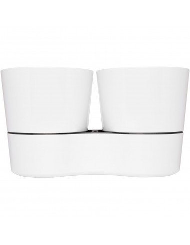 Herbs twin kitchen pot