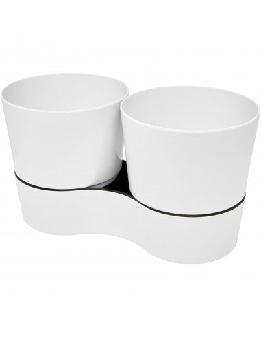 Herbs twin kitchen pot