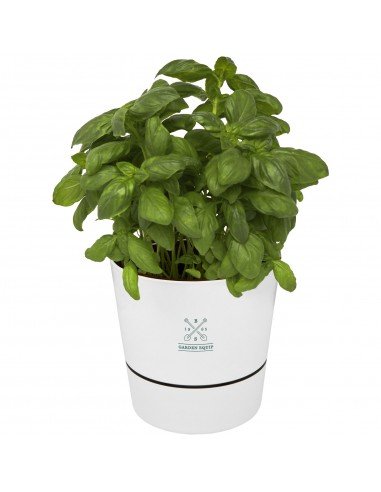 Herbs single kitchen pot