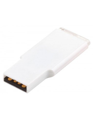 USB atmintinė Leicester