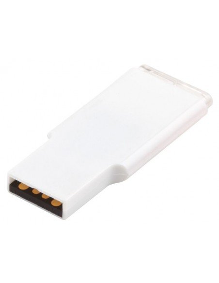 USB atmintinė Leicester