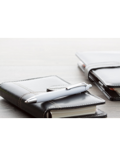 Tušinukas Auckland 2