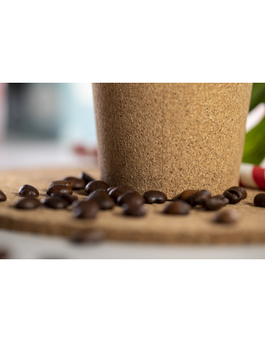 Termopuodelis Plibun Termopuodelis Plibun