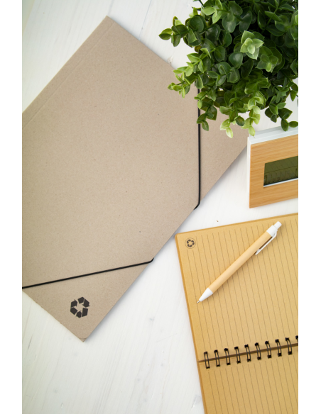 Ecological Ecological