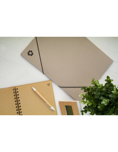 Ecological Ecological