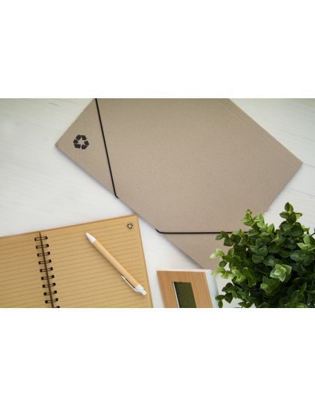 Ecological Ecological