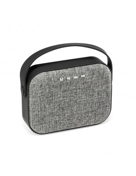 TEDS. Portable speaker with microphone