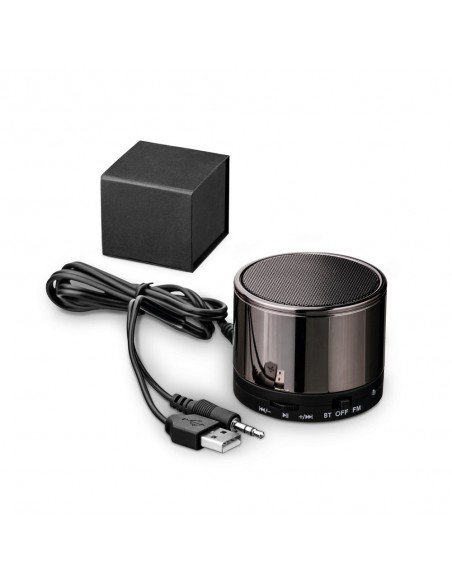 SYNTH. Portable speaker with microphone SYNTH. Portable speaker with microphone