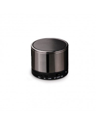 SYNTH. Portable speaker with microphone SYNTH. Portable speaker with microphone