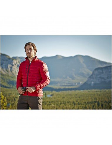 Vyriška striukė Scotia