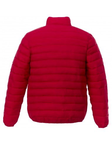 Vyriška šilta striukė Athenas