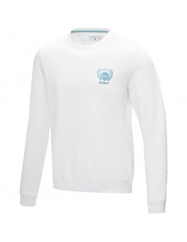 Vyrų džemperis Jasper