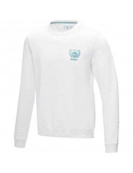 Vyrų džemperis Jasper