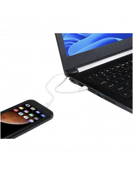 Type-C to Type-C TPE 3A PD cable