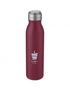 Harper 700 ml stainless steel sport bottle with metal loop 2