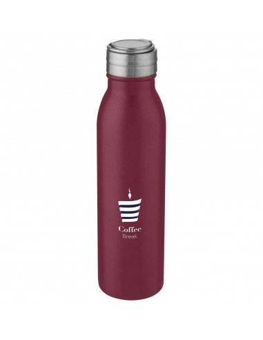 Harper 700 ml stainless steel sport bottle with metal loop